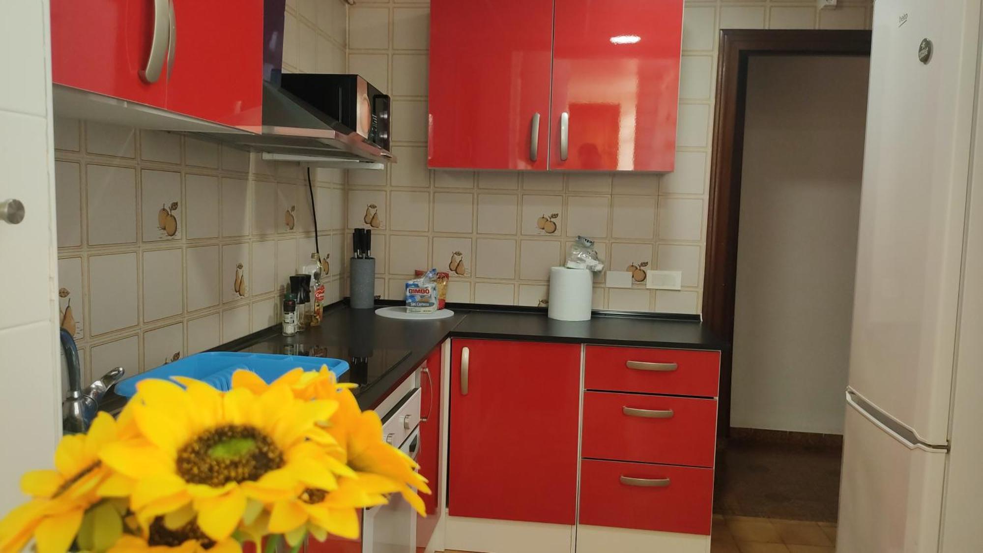 Big Penthouse For 10 Per Torrevieja